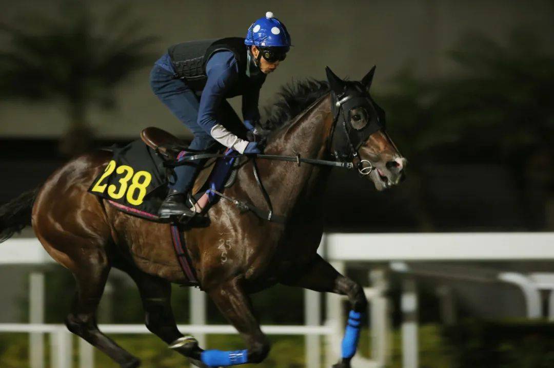 香港特马资料王中王,实地验证数据计划_Chromebook99.506