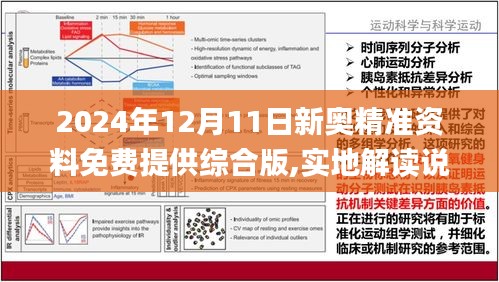 2024新奥最新资料,稳定性设计解析_V版61.675