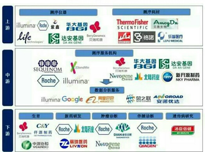 2024新奥精准正版资料,实证研究解析说明_网页版61.224