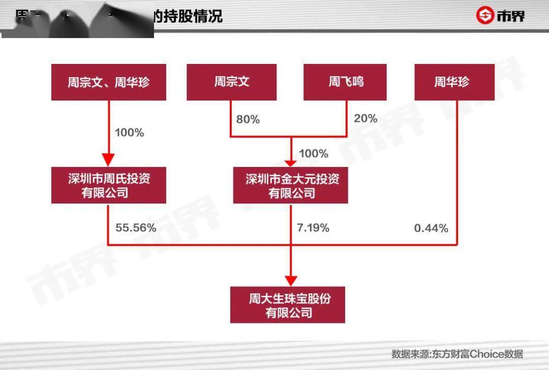 周文最新持股动向揭秘，深度解析及前景展望