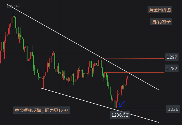 新澳黄金六肖i,预测解析说明_X45.930