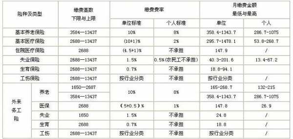 最新社保缴纳知识及政策解读概览