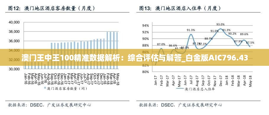 新澳门王中王100%期期中,合理决策评审_XE版87.353