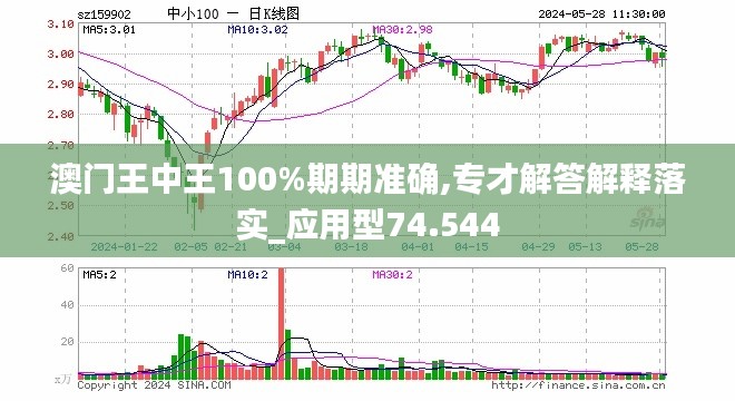 2024新澳门王中王正版,数据驱动设计策略_进阶款15.329