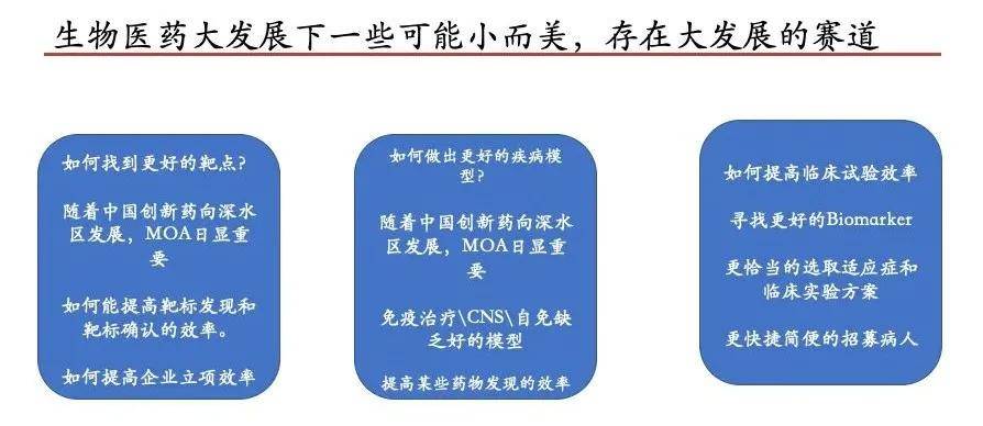 新澳门一肖一特一中,科学解析评估_3DM89.362