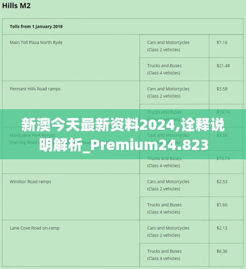 2024新澳最精准免费资料,深入解析数据策略_app22.305