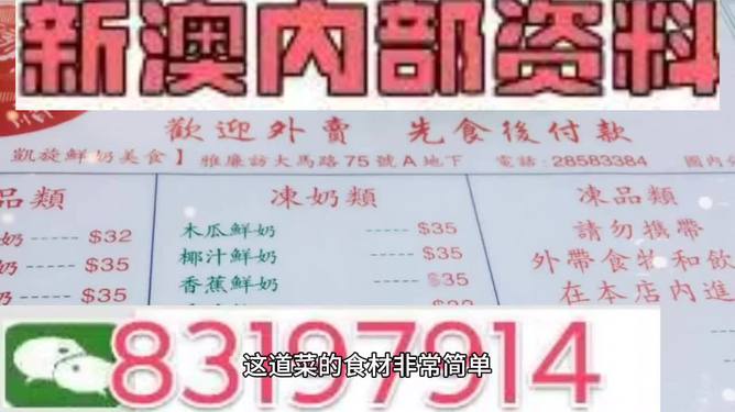 新澳门精准资料大全管家婆料,实证解答解释定义_旗舰版48.57.81