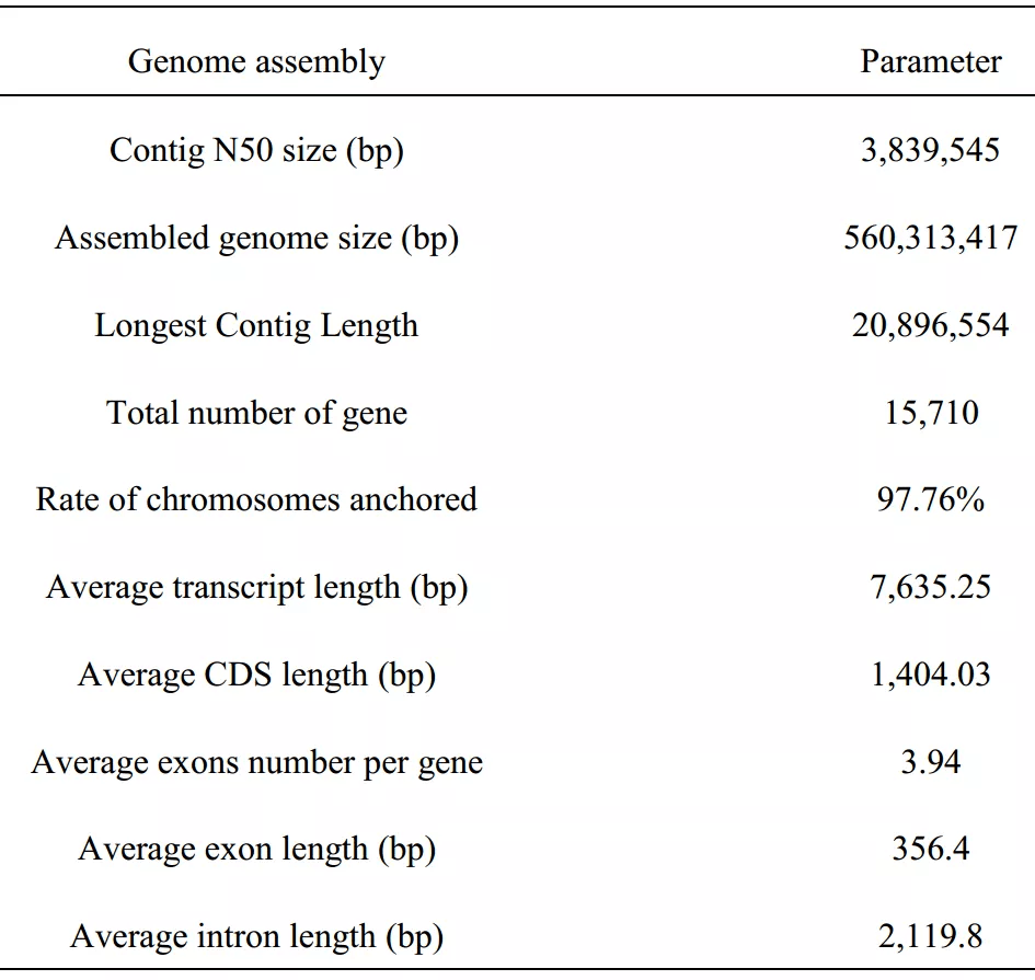 曾道道人资料免费大全,统计评估解析说明_尊享款95.284