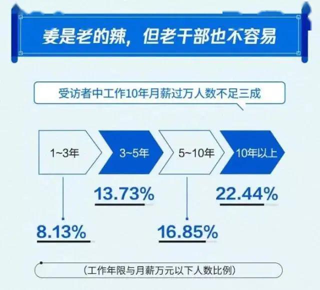 2024年12月24日 第53页