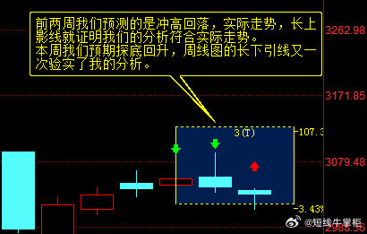 一肖一码一一肖一子深圳,数据解析导向计划_战略版43.571