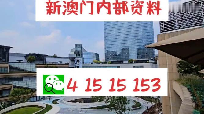 2024澳门正版资料大全免费大全新乡市收野区,实地说明解析_特别款60.858