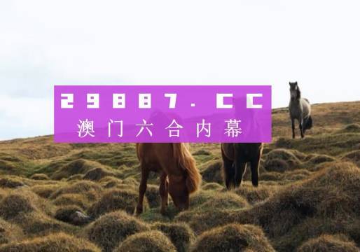 香港宝典王中王资料,互动策略解析_精英款29.628