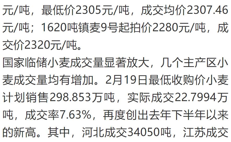 最新小麦价格动态与全球市场的连锁反应