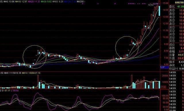 600200最新消息全面解读与分析