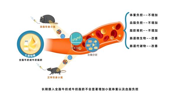 科学新发现重塑宇宙与健康的认知界限