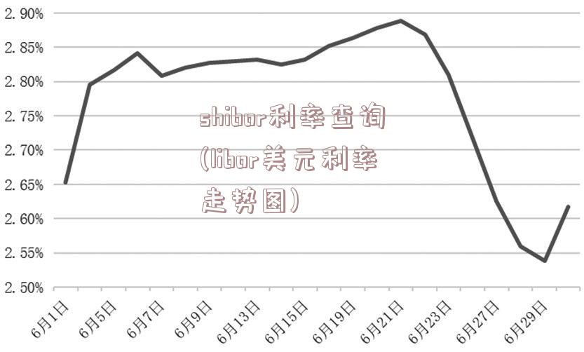 美元Libor利率最新动态，全球金融市场关键参考指标解析