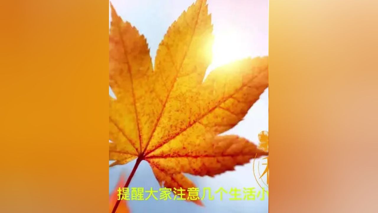 立秋生活小妙招，让生活更舒适惬意的小秘诀