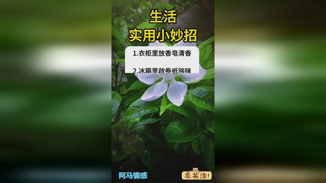 骄阳生活小妙招，活力舒适每一天的秘诀