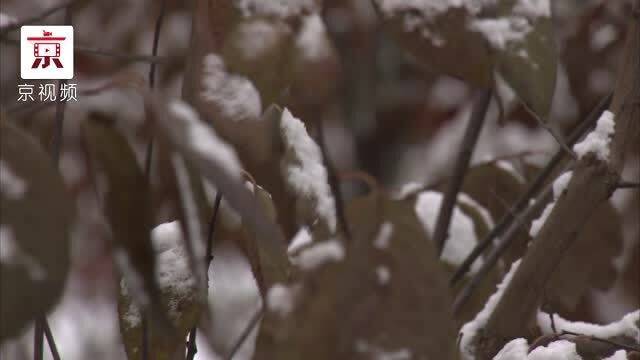 小雪生活中的实用妙招大分享