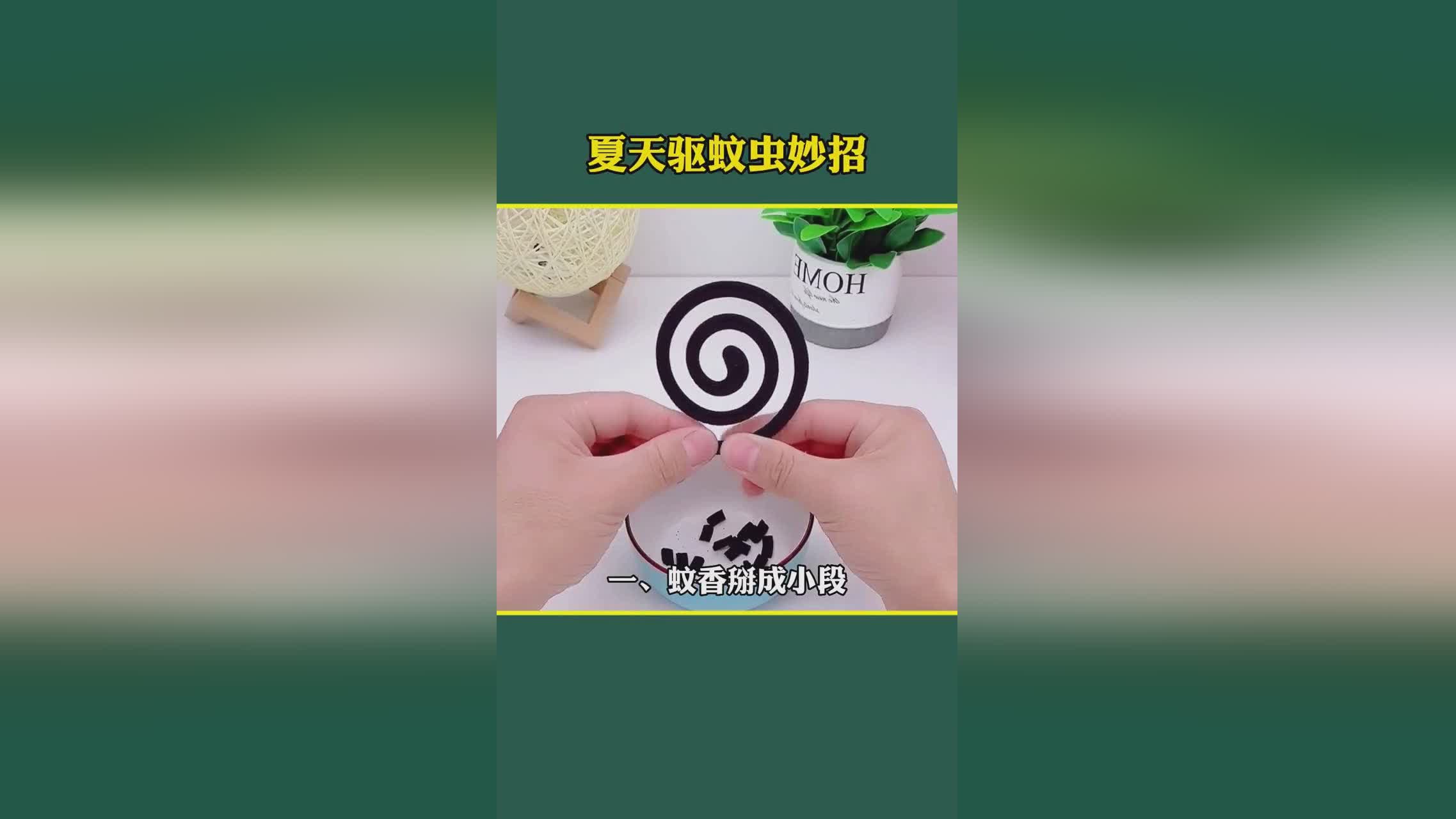 生活小妙招揭秘，防蚊绝招大分享