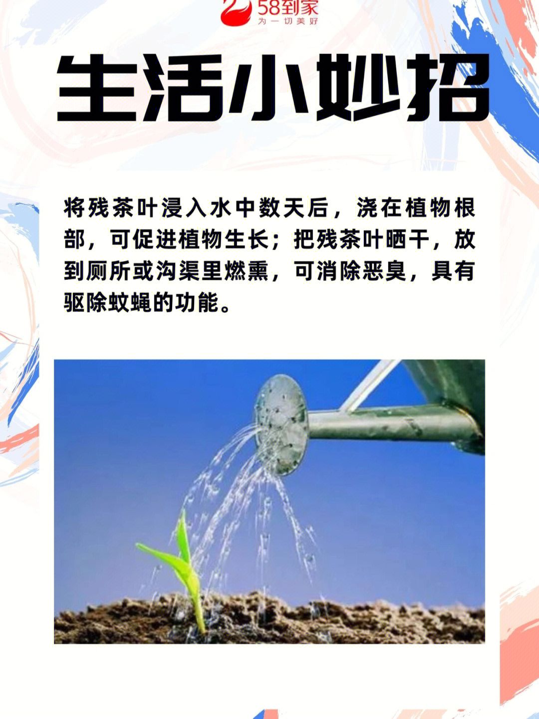 雨桦生活小妙招，让生活更美好之道