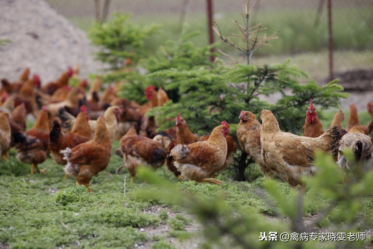 生活小妙招，让生活更美好的实用技巧