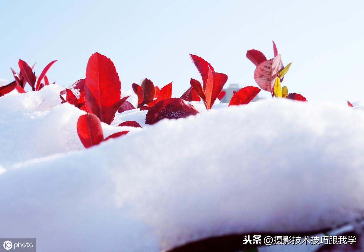 生活补偿小妙招图片分享，让生活更美好的实用技巧